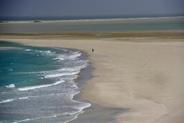 L'isola di Socotra