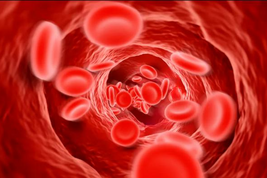  L’ipertensione è un disturbo spesso ereditario (fonte: Darryl Leja, National Human Genome Research Institute)