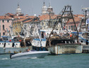 Accordo sulle misure 2022 per le quote di pesca nel Mediterraneo occidentale (ANSA)