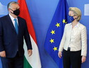 Nessuna risposta alla Commissione dall'Ungheria sullo stato di diritto (ANSA)