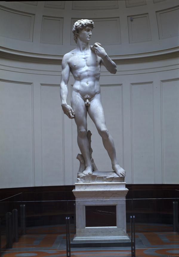 Galleria Accademia Firenze - David Michelangelo © ANSA