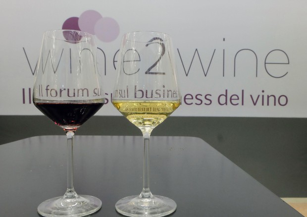 A Veronafiere wine2wine exhibition e OperaWine (ANSA)