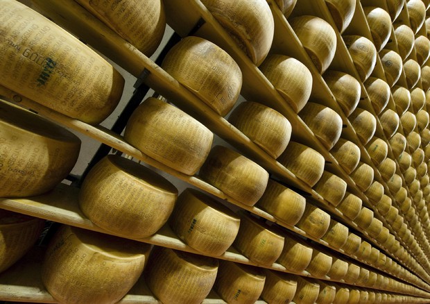 Parmigiano Reggiano vince su Campbell's, colosso Usa deve cambiare etichetta © 