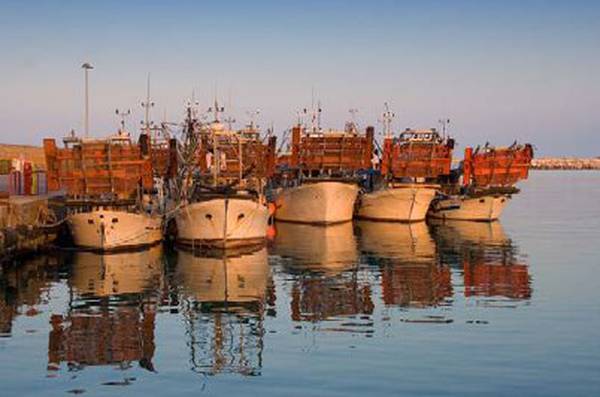 Pesca: le sarde siciliane 'sbarcano' in Usa e Australia