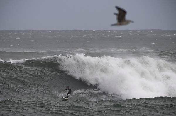Sudafrica: surfista cavalca onda gigante