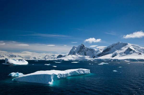 In Antartide biodiversità inaspettata, oltre 8000 specie