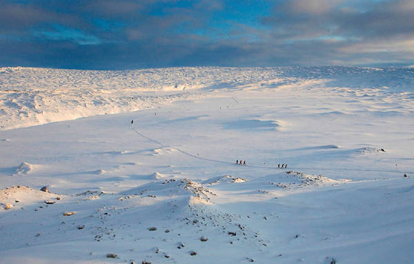 Ambiente: Greenpeace, quasi 1,5mln firme per salvare Artico  (Foto: www.adventure-marathon.com)