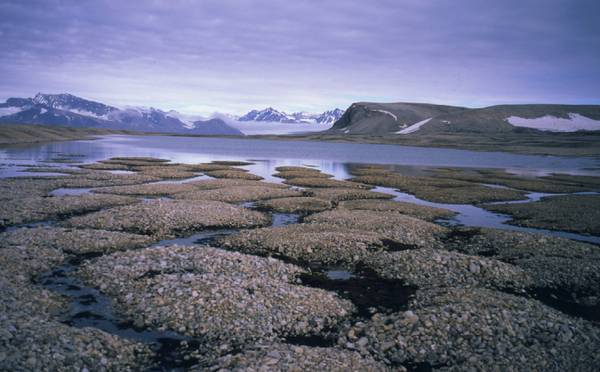 Il permafrost nelle isole Svalbard (fonte: NASA/ Olafur Ingolfsson)