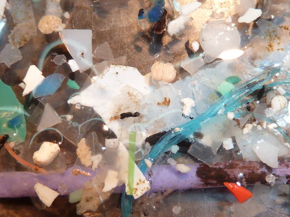 rifiuti di plastica raccolti in mare