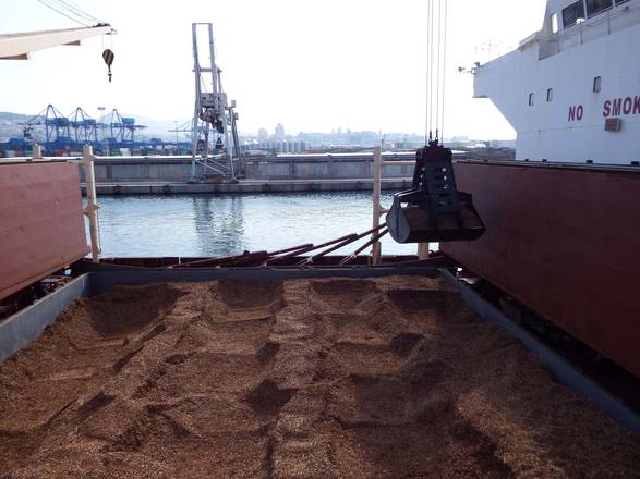 Porti: Genoa, approdata al Terminal Rinfuse prima nave con un carico di cippato (scaglie di legno)