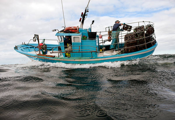 Il 30% della pesca mondiale sfugge ai dati ufficiali