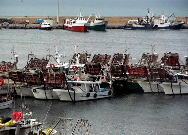 Pesca: obbligo sbarco, sì da Stati ad accordo negoziatori Ue