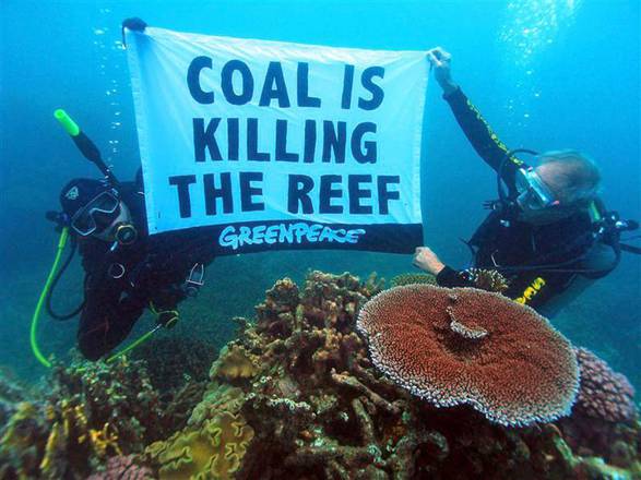 Nuovo rischio per coralli Australia, ora minaccia è carbone