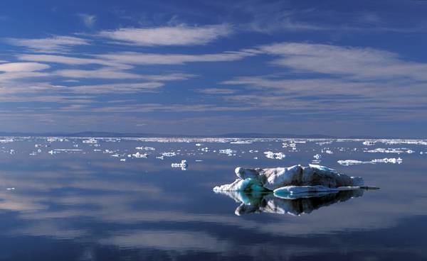Rifiuti di plastica nel mare artico, è la prima volta