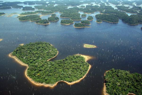 Isole bacino Amazzonia. foto di Eduardo M. Venticinque