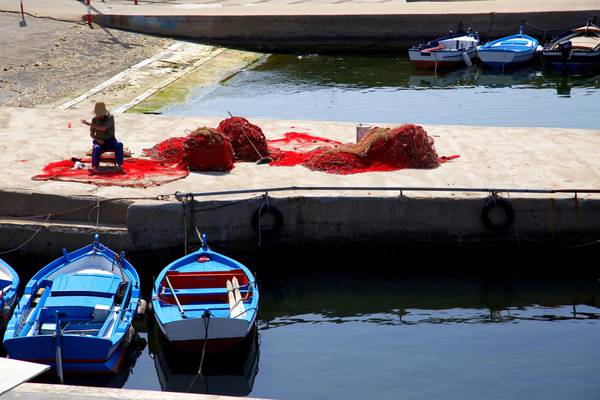 Pesca: Federcoop Sicilia, un disastro le quote per il pesce spada