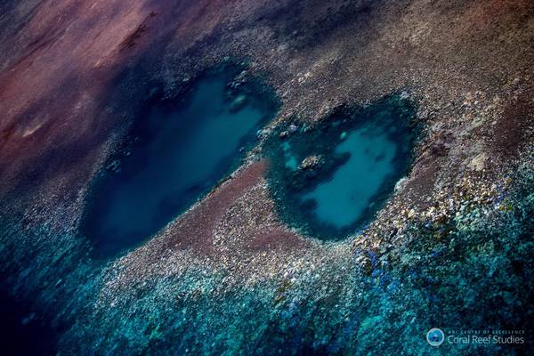 Grande Barriera Corallina (Credit: Coral ARC Center)