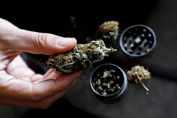 Malta moves to legalise cannabis, nears Parliament approval - Politics - ANSAMed.it