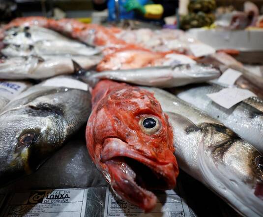 Στη Μεσόγειο, εξωγήινο ψάρι στο πιάτο, από πρόβλημα σε πόρο – Χρονικό