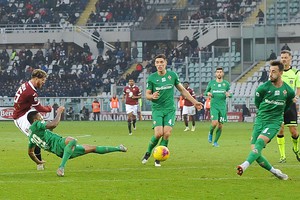 Serie A: Torino-Fiorentina 2-1  (ANSA)