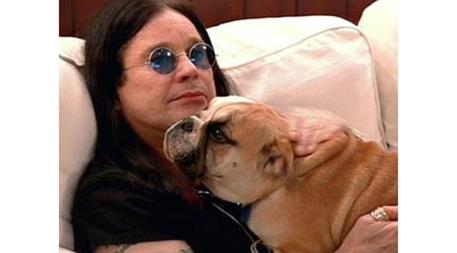 Lifestyle bulldog mania Ozzy Osbourne © ANSA