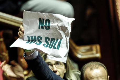 Protesta della Lega in Aula contro lo ius soli in una foto d'archivio © ANSA
