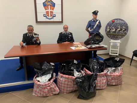 Carabinieri Savona, sequestrati 27 kg marijuana © 