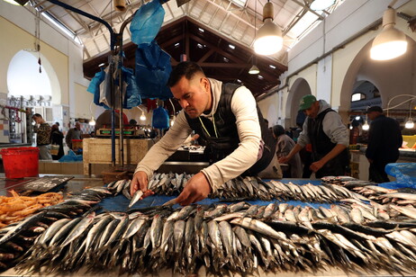 Un vendedor de pescado, en Túnez, se prepara para el primer día del Ramadán (ANSA)