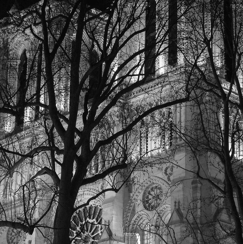 Foto dei lettori, Notre Dame: Francesco Papetti, dicembre 2008 - ALL RIGHTS RESERVED