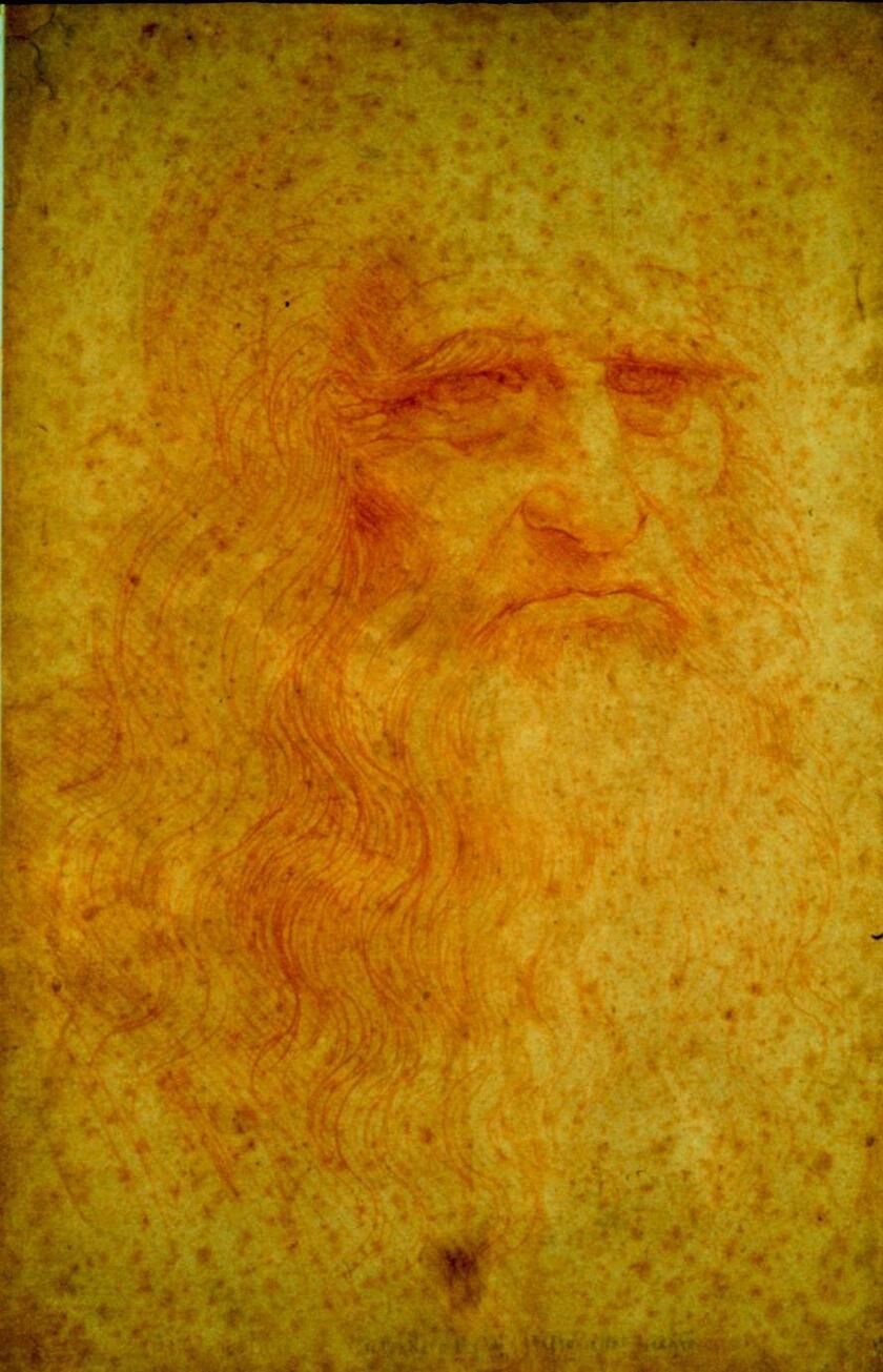 Leonardo: studiosi,recuperata ciocca capelli,via ricerca Dna - ALL RIGHTS RESERVED