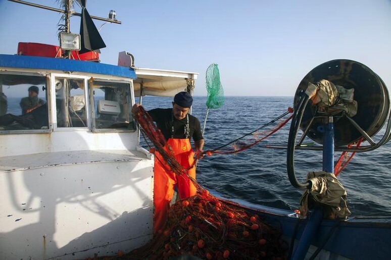 Un peschereccio nelle acque siciliane -     RIPRODUZIONE RISERVATA