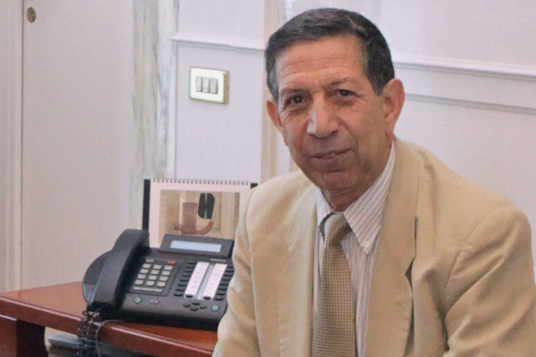 Mounir Bouchenaki, direttore generale dell 'Arab Center for World Heritage dell 'Unesco con sede a Manama. -     RIPRODUZIONE RISERVATA