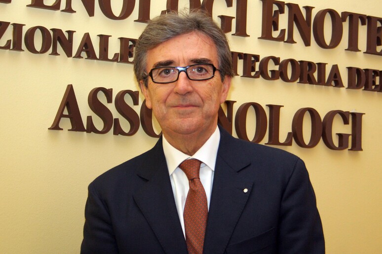 Riccardo Cotarella - RIPRODUZIONE RISERVATA