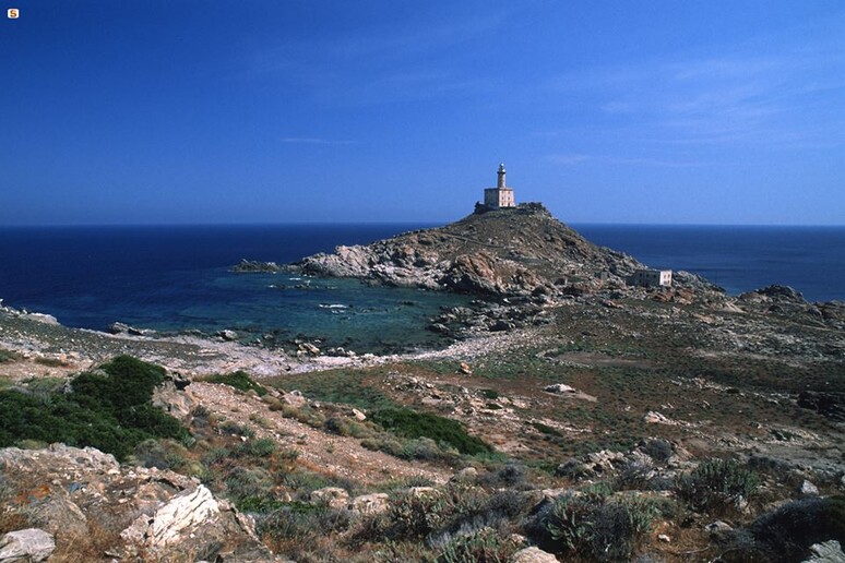 Il faro di Punta Scorno, sull 'Isola Asinara, Sardegna -     RIPRODUZIONE RISERVATA