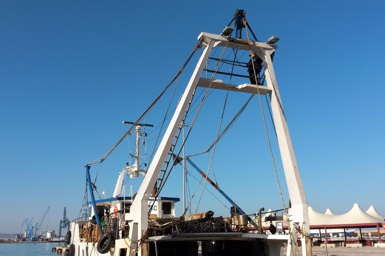 Pesca: Castiglione, intesa Stato-Regioni su Fondo europeo - RIPRODUZIONE RISERVATA