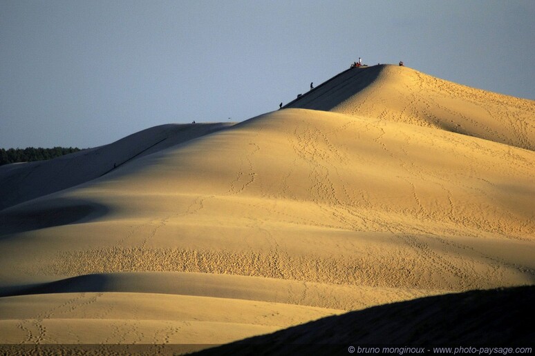 Le dune di Pilat -     RIPRODUZIONE RISERVATA