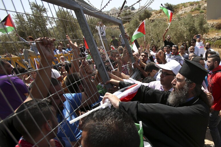 Proteste per la costruzione della barriera israeliana nella valle del Cremisan (Betlemme) -     RIPRODUZIONE RISERVATA