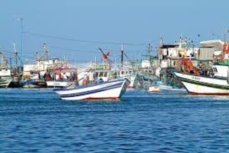 Barche di pescatori nel porto di Zarzis in Tunisia -     RIPRODUZIONE RISERVATA
