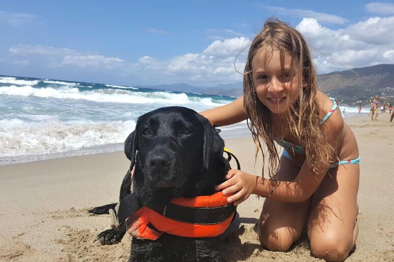 Cane  'eroe ' salva bambina in mare a Palinuro - RIPRODUZIONE RISERVATA