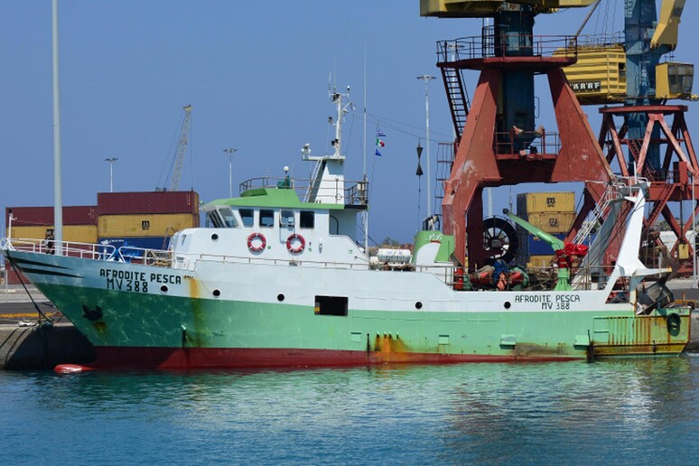L '"Afrodite Pesca", uno dei due pescherecci sequestrati nella tarda serata di ieri da motovedette libiche -     RIPRODUZIONE RISERVATA