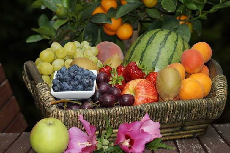 Albicocche e fragole nella top-ten della frutta amica dell 'abbronzatura (fonte: SvenHilker/Pixabay) - RIPRODUZIONE RISERVATA