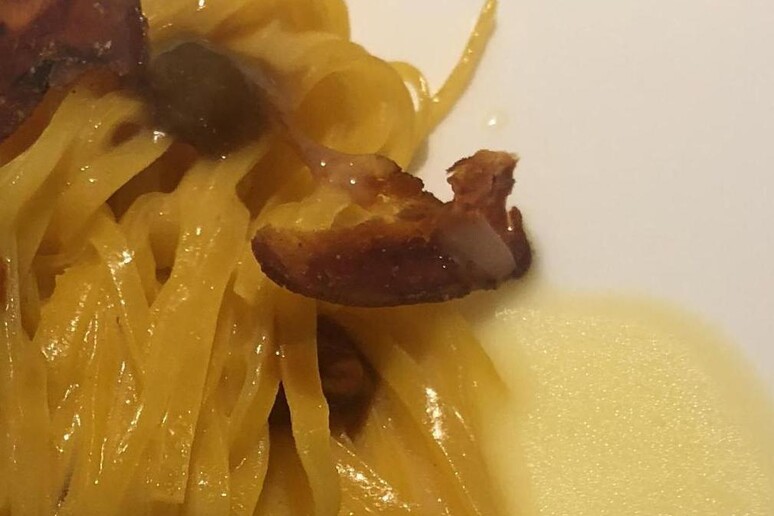 Tagliolini alla bottarga di ricci di mare, limone e burro affumicato; una ricetta di Daniele Usai (Il Tino) - RIPRODUZIONE RISERVATA