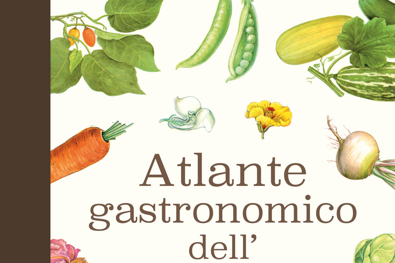 L 'Atlante gastronomico dell 'orto edito da Slow Food Editore - RIPRODUZIONE RISERVATA