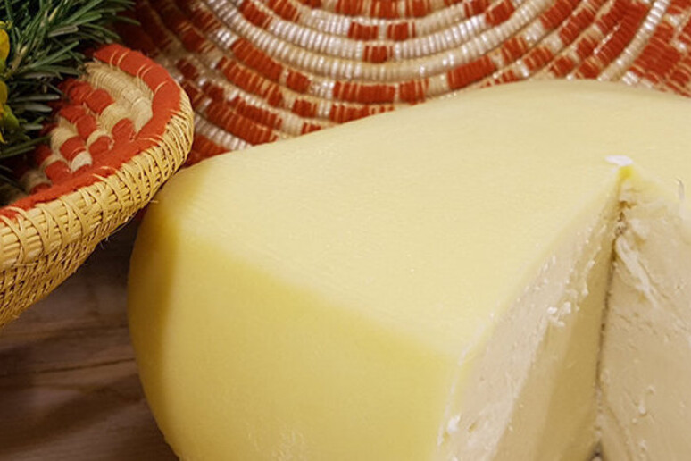 Torna Cheese a Bra, riflettori sui formaggi naturali - RIPRODUZIONE RISERVATA
