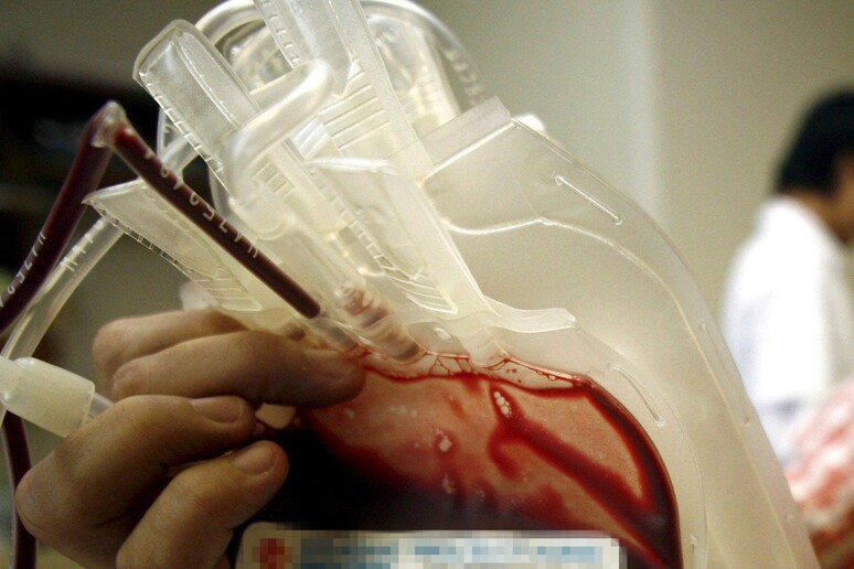 Trasfusione di sangue - RIPRODUZIONE RISERVATA