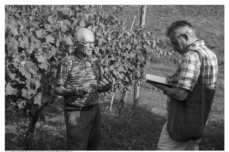 'In Vino In Fabula ' per gentile concessione di Rino Bianchi - RIPRODUZIONE RISERVATA