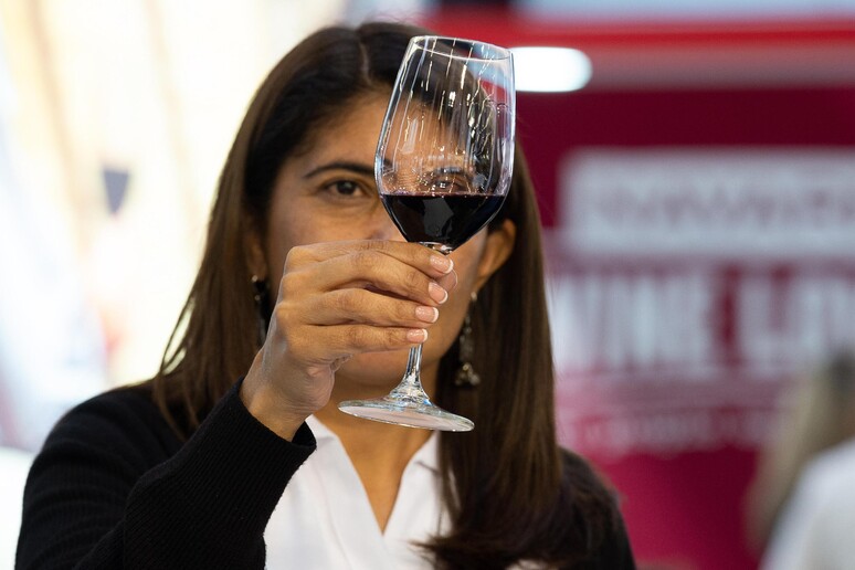 Coronavirus: da Schenk italian wineries sostegno a ospedali - RIPRODUZIONE RISERVATA