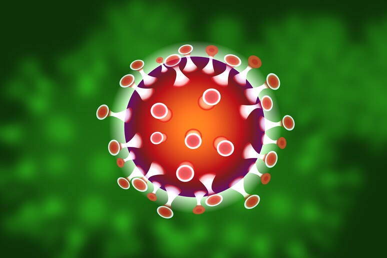 Rappresentazione grafica di un coronavirus (fonte: iXimus, Pixabay) - RIPRODUZIONE RISERVATA