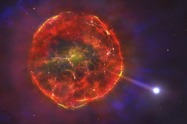 Rappresentazione artistica della nana bianca scagliata nello spazio dalla supernova (fonte: Mark Garlick/University of Warwick) - RIPRODUZIONE RISERVATA