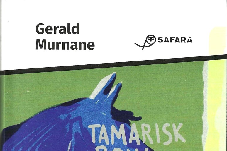 La copertina di Tamarisk Row - RIPRODUZIONE RISERVATA